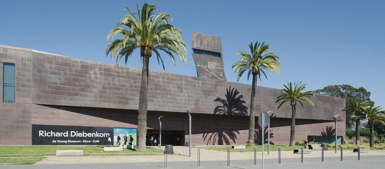 Photo of the copper clad de Young museum building with palm trees